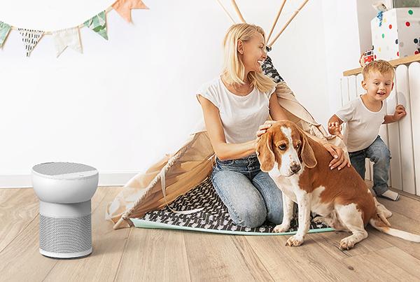 Produktbild TCL Breeva A2WW (24 m²)