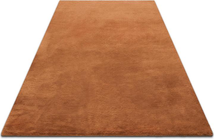 Produktbild Wecon Home Basics Teppich Anna (60 x 40 cm)