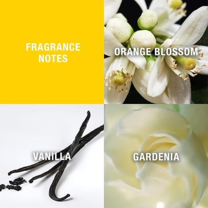 Image du produit Giorgio Beverly Hills Eau de Toilette Vaporisateur 90ml - Coffret 2 pièces pour femmes (Coffret de parfum)