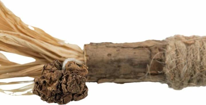 Produktbild Trixie Cavo Zug-Stopp-Halsband (M, S, Hund, Allgemein)