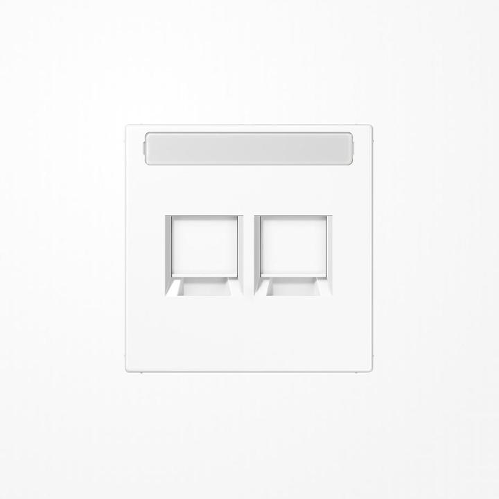 Actual product image JUNG Support ring Mod-Jack 2f LS aws glz Klemmbef LS1969-2NAWEWW