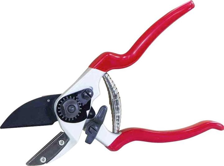 Siena Garden Tuinscharen