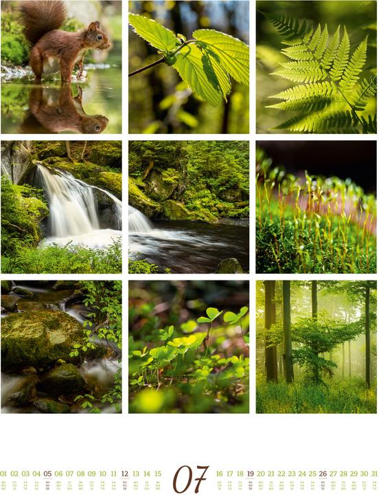 Image du produit Inspiration Natur Kalender 2026 (Couverture rigide, Anglais, Français, Allemand)