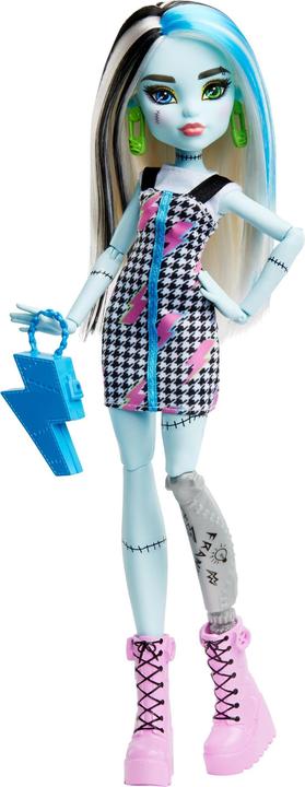 Actual product image Monster High HRC11