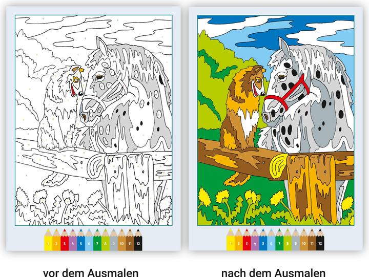 Produktbild Ravensburger Malbuch Malen nach Zahlen