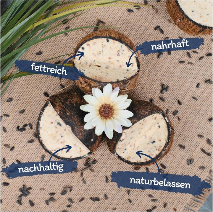 Actual product image Lyra Pet Whole coconut V-Cut filled (4 x)