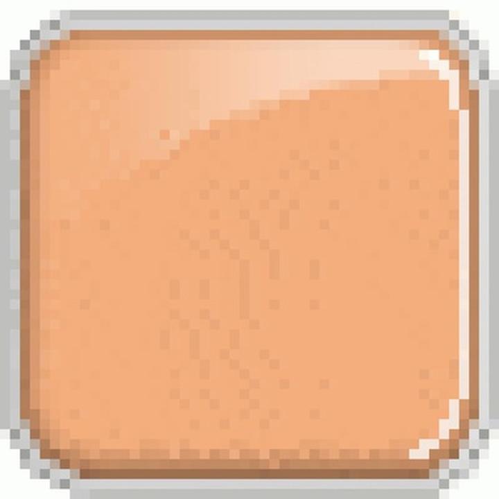 Image du produit Evagarden Naturalift Foundation 9g No. 192 Honey