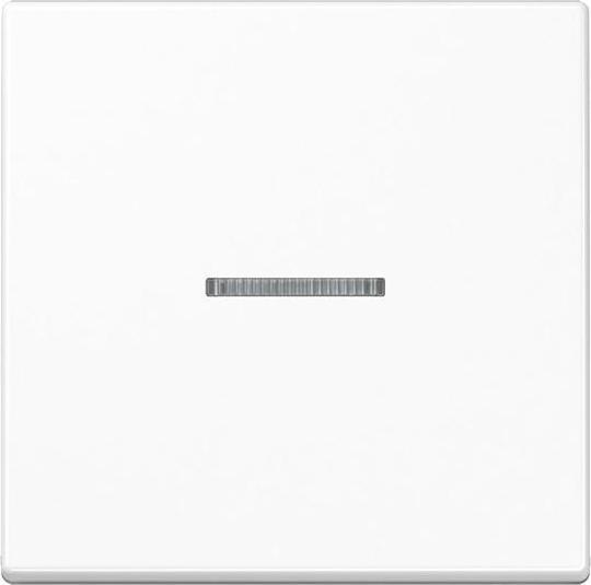 Actual product image JUNG Rocker with lens alpine white A 590 BF KO5 WW