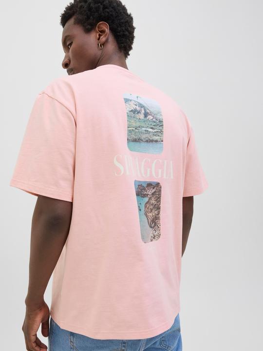 Actual product image Jack & Jones Jorhydra Photo Tee Ss Crew Neck (XXL)