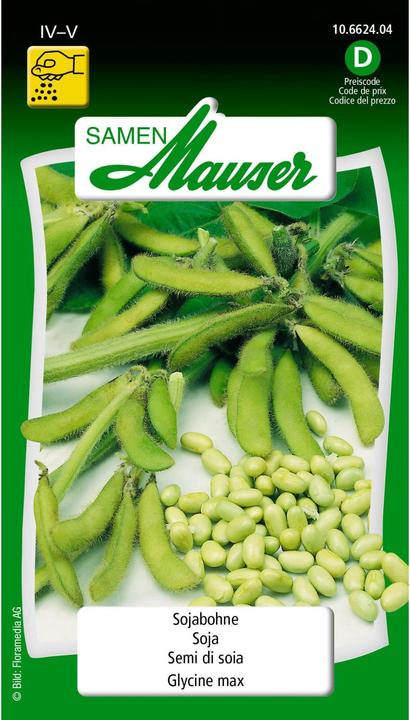 Produktbild Samen Mauser Sojabohne (Gemüsesamen)