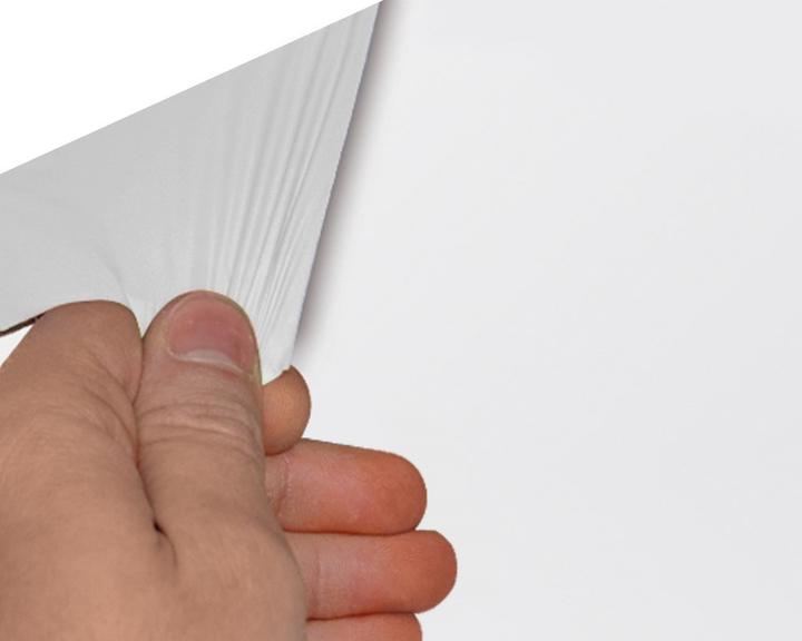 Actual product image Foliatec Spray film