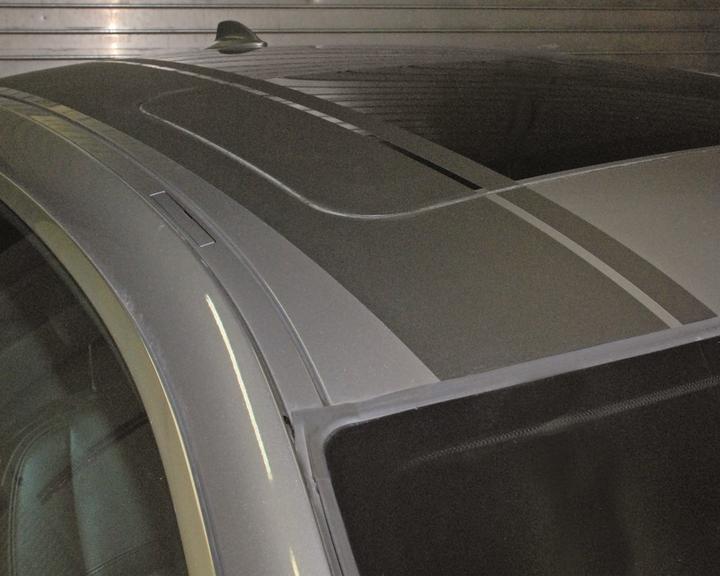 Actual product image Foliatec Body stickers