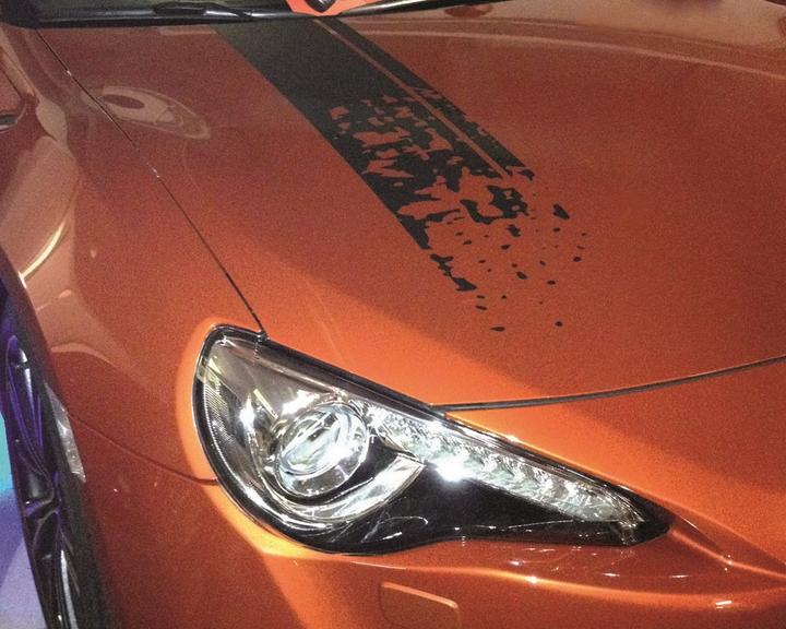 Actual product image Foliatec Body stickers