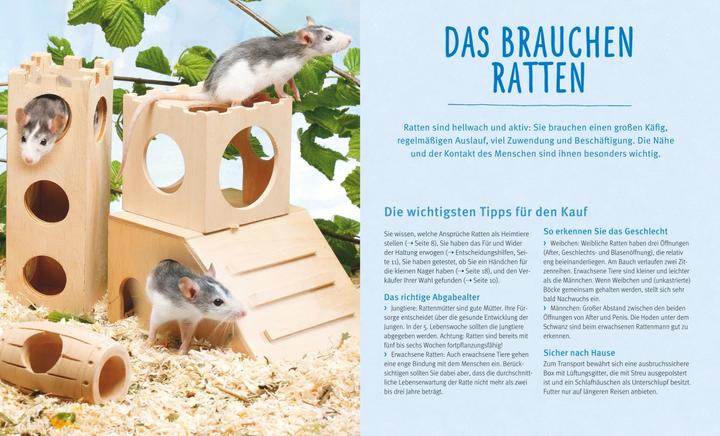 Productafbeelding Ratten (Duits, Gerd Ludwig, 2016)