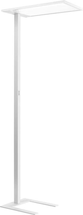Spittler PiL LED-Stehleuchte