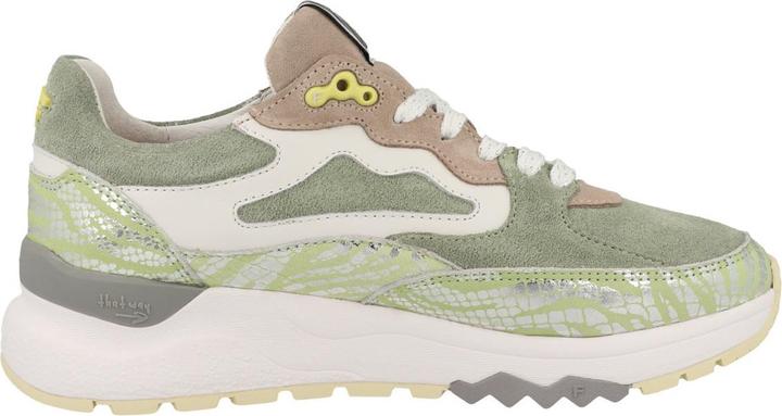 Image du produit Floris van Bommel Treni 01.00 (37.5)