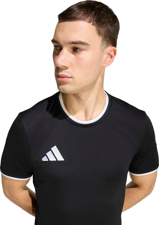 Actual product image Adidas Entrada T-Shirt (XL)