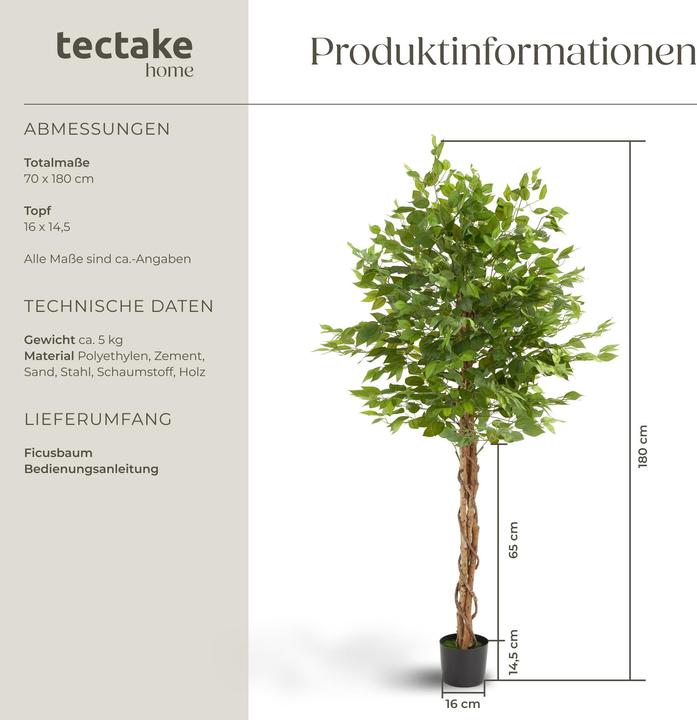 Produktbild tectake Ficusbaum Fida (180 cm)