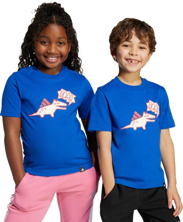 Actual product image adidas Kids Adiraptor Graphic (104)