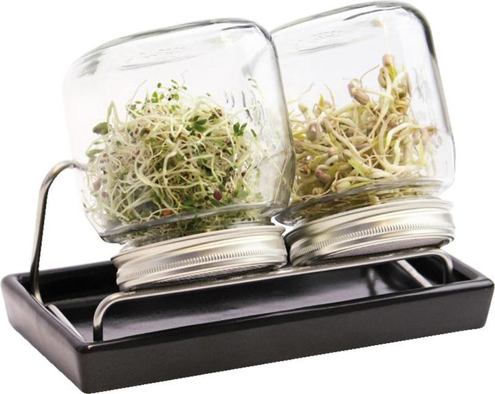 Eschenfelder Sprossenglas