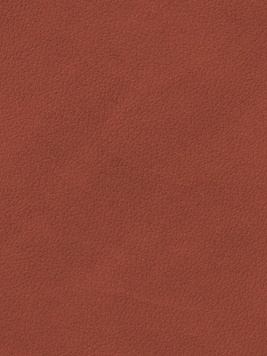 Actual product image Lind DNA Glass Coaster Curve Nupo Sienna 11x13cm (1 x, Glass coaster)