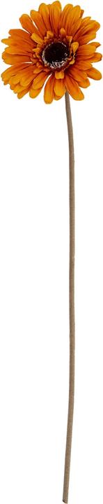 Immagine prodotto Hill Interiors Soffice Gerbera Gerbera Fiore Artificiale (53 cm)