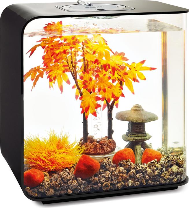 Actual product image Oase 55027 Aquarium decoration 30 l (Embellishment, other buildings)