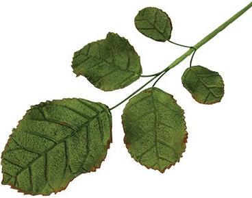 Produktbild PME Blumen Ausstech Set