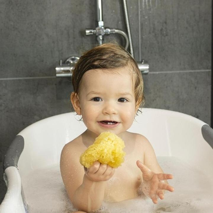 Actual product image dBb Remond Natural Sponge