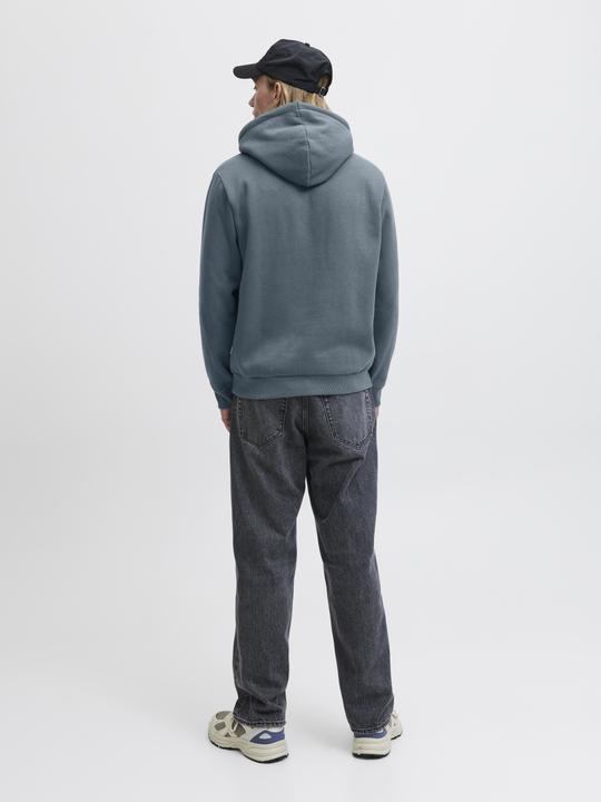 Actual product image Jack & Jones Jjebradley Sweat Hood Noos (XS)