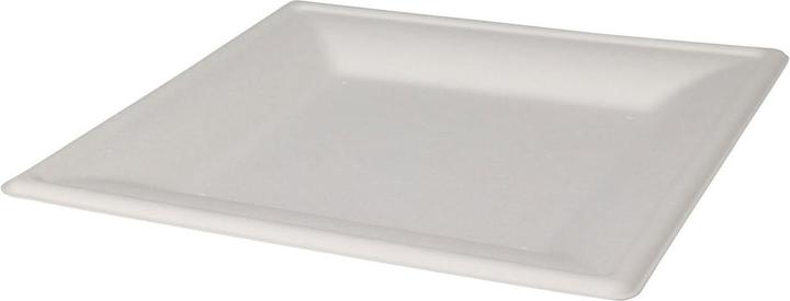 Wegwerpbord vierkant 20cm, 8 stuks. (8 x)