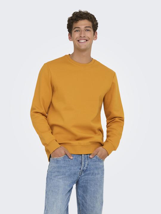 Produktbild Only & Sons Onsconnor Reg Crew Neck Sweat Noos (L)