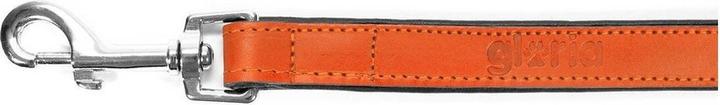 Image du produit Gloria Laisse pour chien 1.8 x 100 cm Orange (Chien, Général, Promenade)
