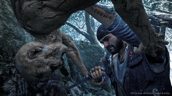 Actual product image Sony Days Gone (PS4, DE)