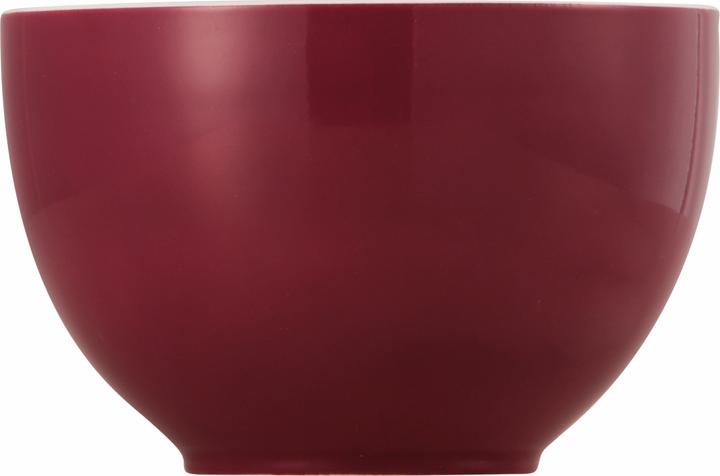 Thomas 10850-408517-15456 (12.20 cm, 0.45 l, 1x)