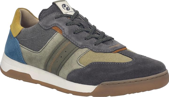 Olive Multi