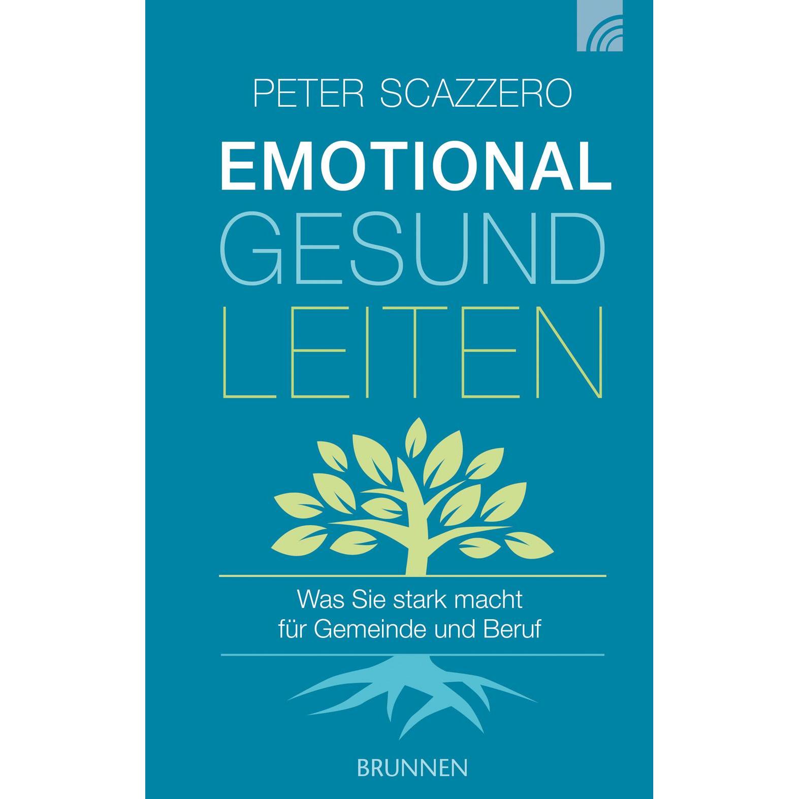 Emotional gesund leiten, Fachbücher von Peter Scazzero