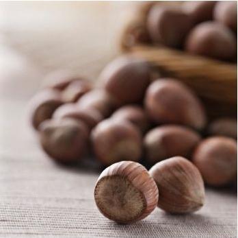 Produktbild FunCakes Geschmackpaste Haselnüsse 100 g (100 g)