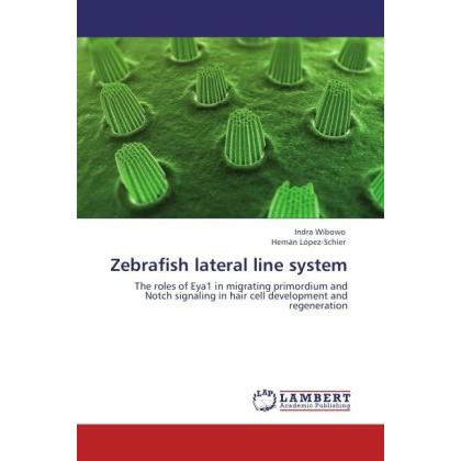 Zebrafish lateral line system, Fachbücher von Hernán López-Schier, Indra Wibowo
