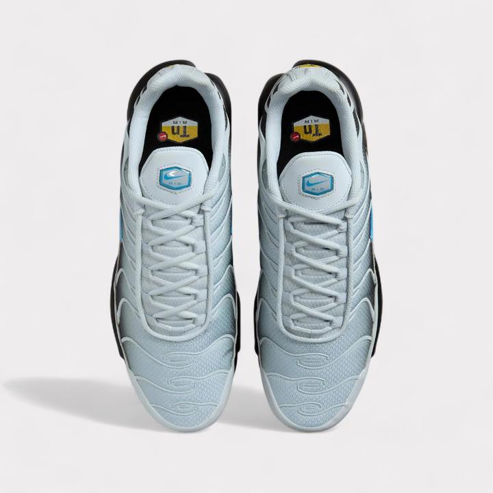 Image du produit Nike Air Max Plus (41)