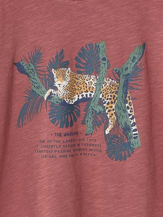Produktbild Vertbaudet Jungen T-Shirt mit Naturmotiv, Recycling-Baumwolle (152)