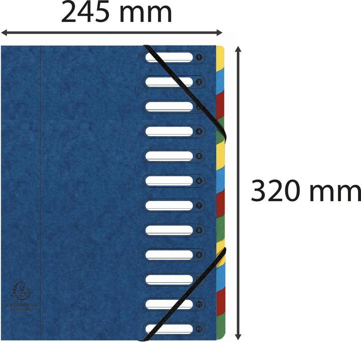 Produktbild Exacompta HARMONIKA - Ordnungsmappen A4 (A4, 1x)