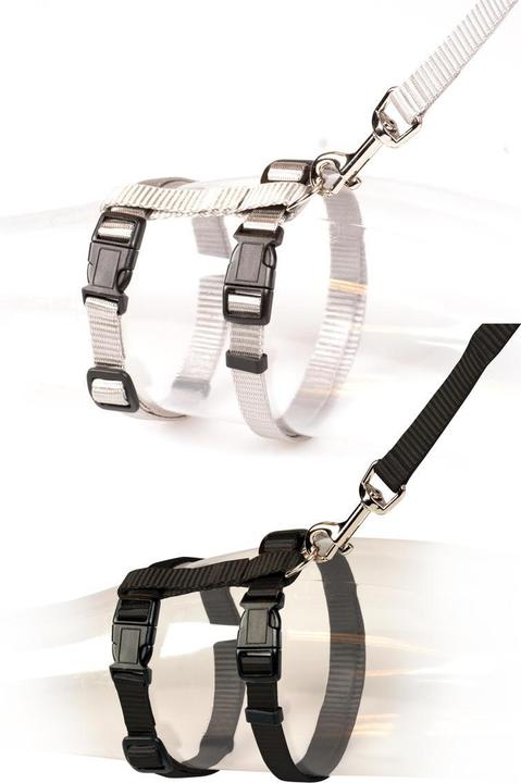 Actual product image EBI Cat big walking set (Cat, General)