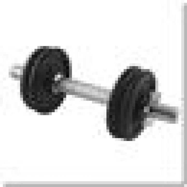 Immagine prodotto HMS Srieginis hantelis SG03 10kg (2 x 1 kg)