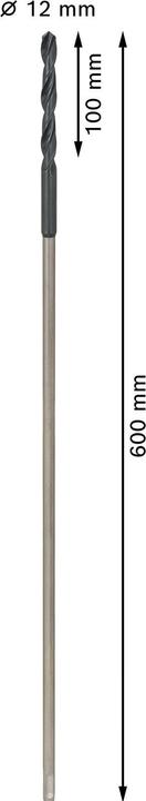 Actual product image Bosch Professional Zubehör PRO Wood HSS installation drill bit, 12 x 100 x 600 mm (12 mm)