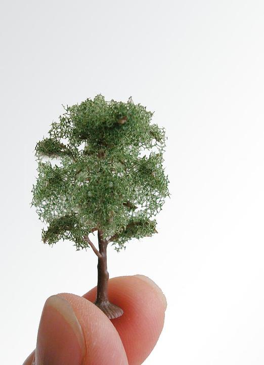 Immagine prodotto Faller 2 siepi ornamentali/ carpini PREM