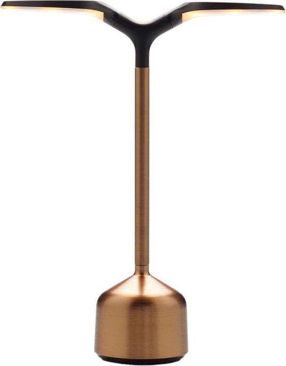 Bronze