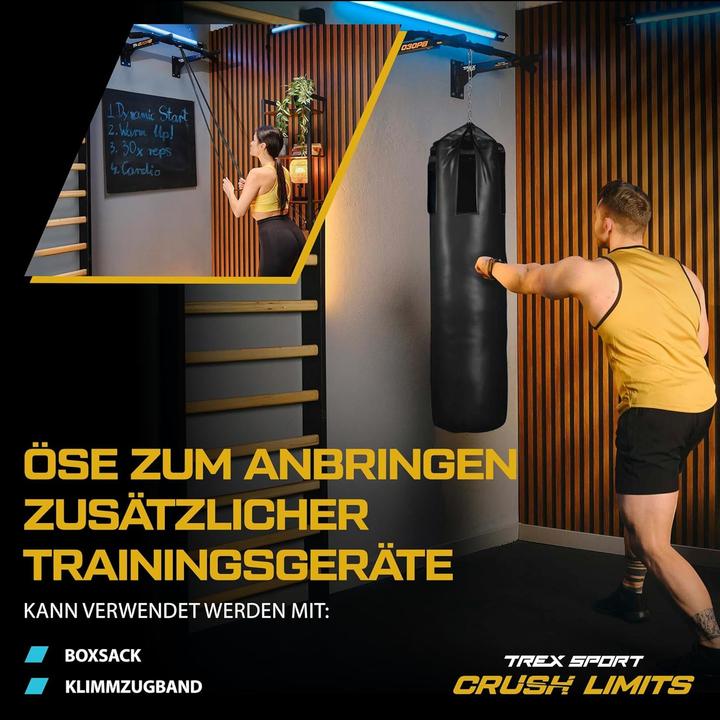 Actual product image Trex Sport Klimmzugstange TX-030PB