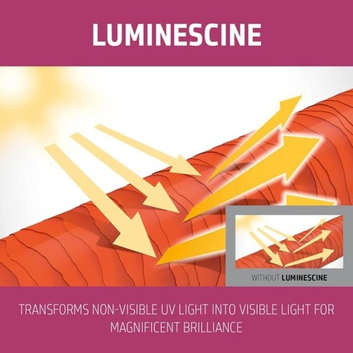 Produktbild Goldwell Color Extra Rich Shampoo (1000 ml, Flüssiges Shampoo)