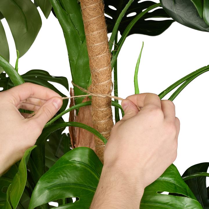 Image du produit Relaxdays 10x Kokosstäbe (4 cm, 4 cm)